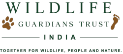wgt logo 250x110